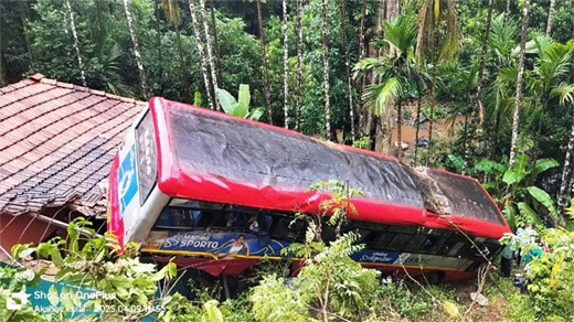 Bus falls into gorge 
